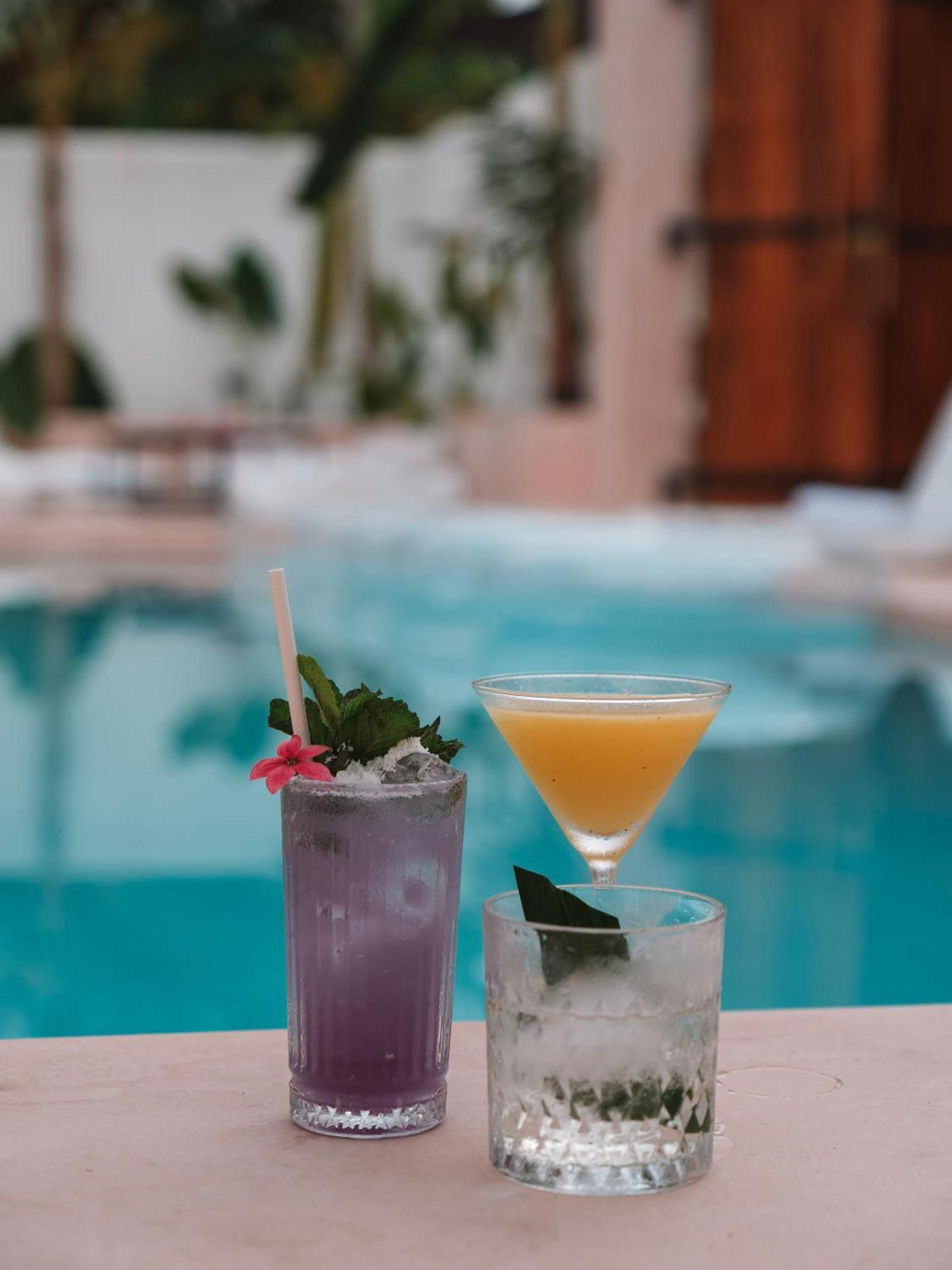 Animals Hotel Ahangama Kültér fotó